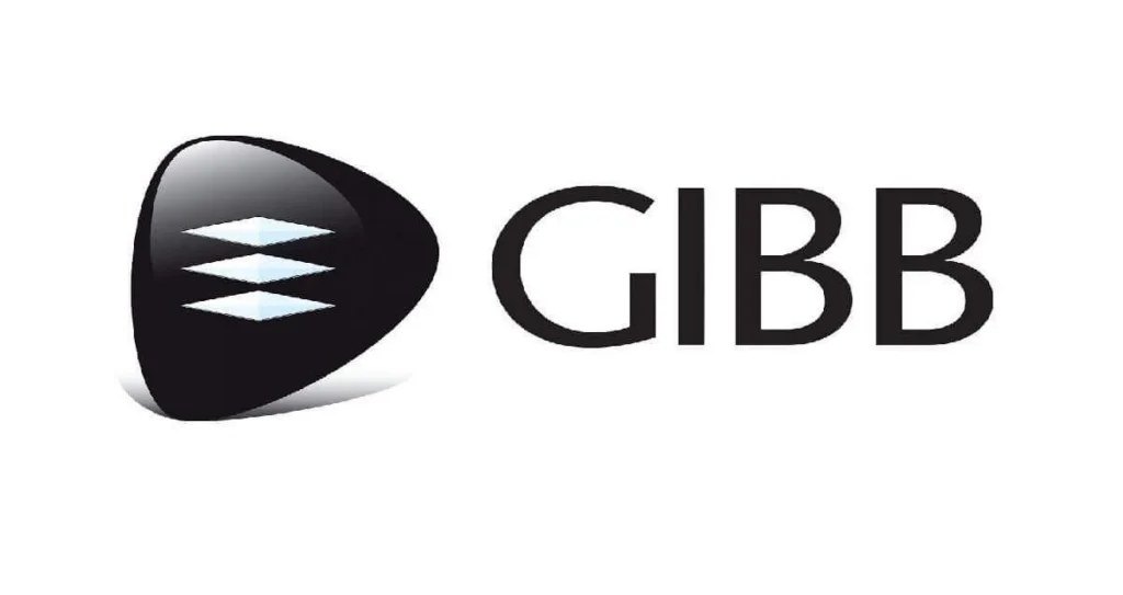 GIBB YES Programme: Your Guide to Gaining Experience and Launching Your Career in South Africa