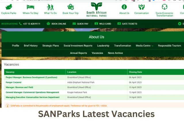 How to Apply for SANParks Vacancies: A Step-by-Step Guide
