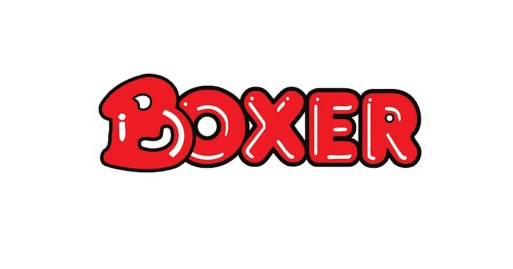 How to Apply for the Boxer Superstores SETA Graduate Programme