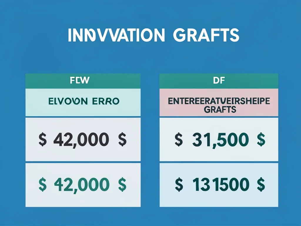 Infographic showing the different grant amounts for Innovation and Entrepreneurship.